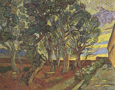 Vincent Van Gogh The Garden of Saint-Paul Hospital (nn04)